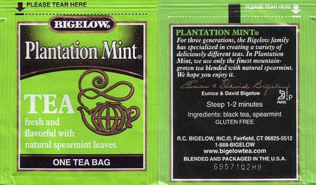 Bigelow 3 Plantation Mint 1