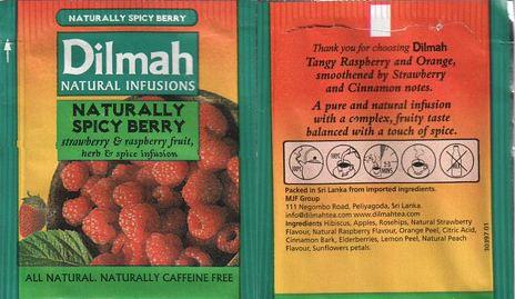 Dilmah Natural Infusions Naturally Spicy Berry Oval