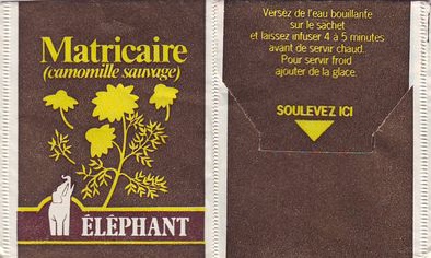 Elephant 01 Matricaire