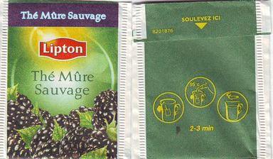 Lipton 8201876 Thé Mure Sauvage