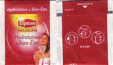 Lipton 8429919 Infusions Hydratation & Bien Etre