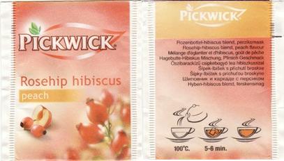 Pickwick 10 721 013 Rosehip Hibiscus Peach