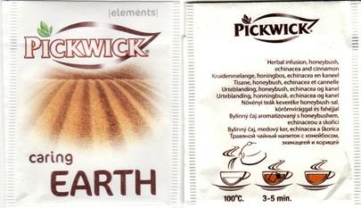 Pickwick 10 721 535 Elements Caring Earth