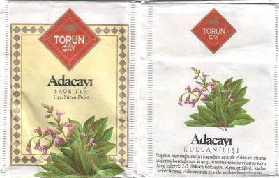 Torun Cay Adacayi