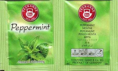 Teekanne 16 Peppermint Pleasant & Refreshing