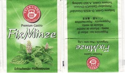 Teekanne Premium Gastro Fixminze Seit