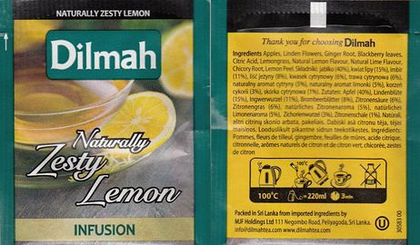 Dilmah Fun Teas Infusion Naturally Zesty Lemon