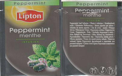 Lipton 8477601 Peppermint