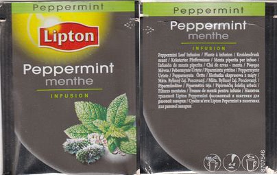 Lipton 8707546 Peppermint