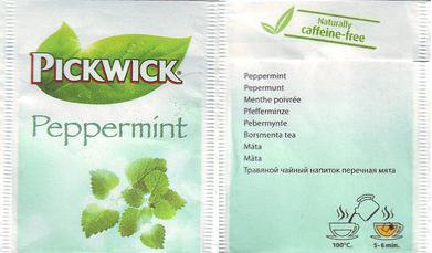 Pickwick 10 719 068 Peppermint