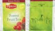 Lipton 8132207 Forest Fruit Tea