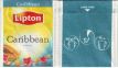 Lipton 8152337 Caribbean