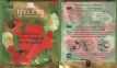Hyleys Black Tea With Rosehip & Hibiscus Natures Harmony