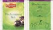 Lipton 5417998 Blackcurrant Tea