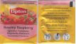 Lipton 8199256 Rosehip Raspberry Foil