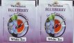 Thé Tea Nation Blueberry White Tea