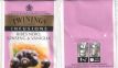 Twinings Infusions Ribes Nero Ginseng & Vaniglia Glossy